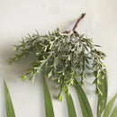 Frosted greenery berry stamen bundle for living room diy decor