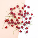 Frosted red foam cherry artificial fruits dining room decor set