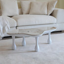 Frugal Coffee Table