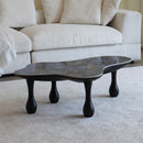 Frugal Coffee Table