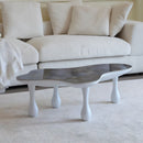 Frugal Coffee Table