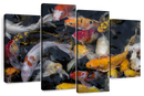 Abundant Koi Fish Wall Art