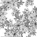Black Floral Contours Wallpaper