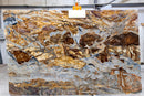Fusion Blue Bookmatching Marble Slabs Polished - Full Truckload 1 slab front view