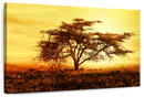 African Tree At Sunset Wall Art
