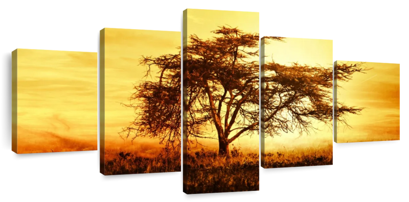 African Tree At Sunset Wall Art