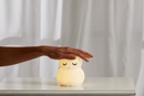 Owl Silicone Night Light