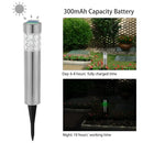 Garden Solar Lamps with RGB Lighting and Stainless Steel Build