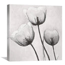 Garden Trio of White Canvas