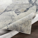 Gasquet Gray Marble Textured Luxe Rug