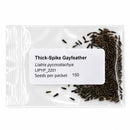 Mini Native Tall Hummingbird Seed Mix | Prairie Legacy Inc.