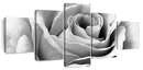 Full Bloom Rose Wall Art