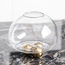 Geometric golden ball glass vase living room floral decor
