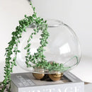Geometric golden ball glass vase living room floral decor