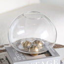 Geometric golden ball glass vase living room floral decor