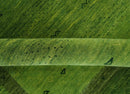 Geometrical Stripes Design Green Hand loom Multi Size wool Area Rug