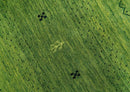 Geometrical Stripes Design Green Hand loom Multi Size wool Area Rug