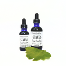 Ginkgo Tincture