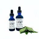 Catnip Tincture