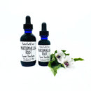 Marshmallow Root Tincture