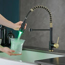 DecorBites™ Brass Spring Spout Kitchen Faucet with Single Lever Pull Down Mixer Tap