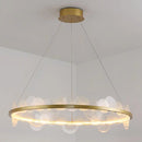 Gold frost texture led ring chandelier living room mesh globe light