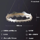 Gold frost texture led ring chandelier living room mesh globe light