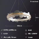 Gold frost texture led ring chandelier living room mesh globe light