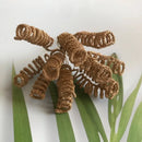 Golden metallic berry stamen green plant foliage for living room decor