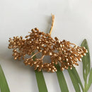 Golden metallic berry stamen green plant foliage for living room decor