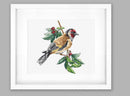 Goldfinch Bird B1197L Counted Cross-Stitch Kit