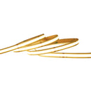 Goodlite COB 16FT LED Tape Light 5.5W/FT Tape 27K-50K