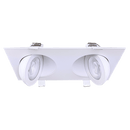 Goodlite Flarion G-01022 3.5" 20W LED 2 Head Rotating Gimbal Selectable CCT