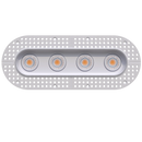 Goodlite G-23324 3" 30W 4 Head Oval Trimless Gimbal Selectable CCT