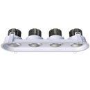 Goodlite G-23344 3.5" 52W 4 Head Gimbal Selectable CCT