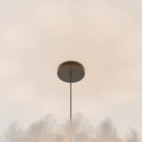 Goose Feather Pendant Light