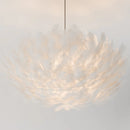 Goose Feather Pendant Light