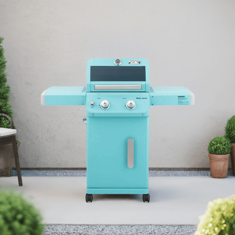 Mesa 200 | Matte Color Propane Gas Grill