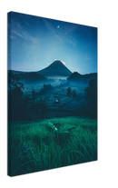 Grass Field Night - Print
