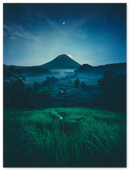 Grass Field Night - Print
