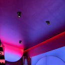 Gratia Downlight