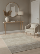 Gray and Silver Ikat Design 6x9 Hand knotted Wool and Viscose Area Rug
