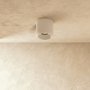Graziella Downlight