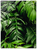 Green Leaves - Print