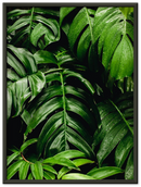 Green Leaves - Print