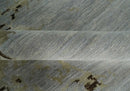 Grey, Charcoal, Olive and Ivory 6x9 Hand Knotted Abstract Wool and Viscose Area Rug