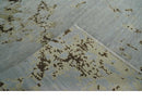 Grey, Charcoal, Olive and Ivory 6x9 Hand Knotted Abstract Wool and Viscose Area Rug