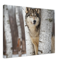 Grey Wolf Print Metal Wall Art – Wildlife Nature Rustic Cabin Home Decor