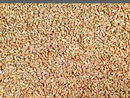 Organic Toasted Oat Groats | 25 lb | Non-GMO | Shipping Included | Grain Place Foods
