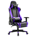 Footrest Series  GT099F